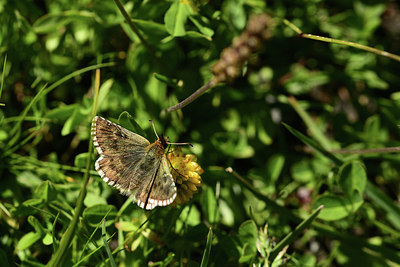 BUITEN BEELD Foto: 363989