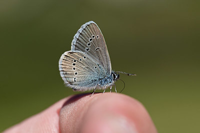 BUITEN BEELD Foto: 364077