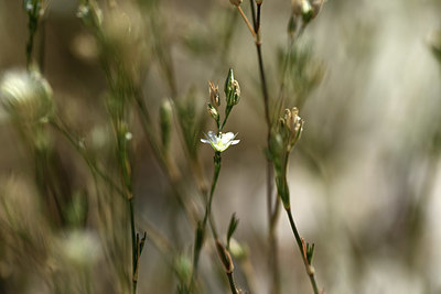 BUITEN BEELD Foto: 364653