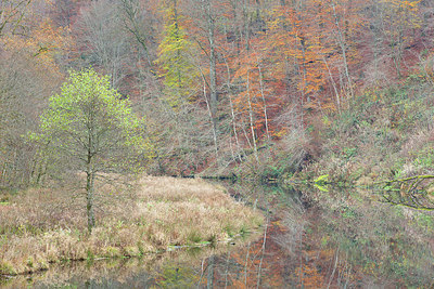 BUITEN BEELD Foto: 365914