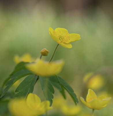 BUITEN BEELD Foto: 371360