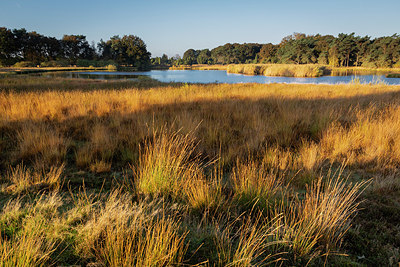 BUITEN BEELD Foto: 396801