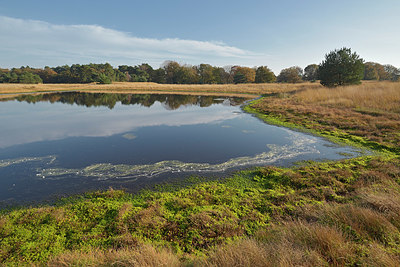 BUITEN BEELD Foto: 404366