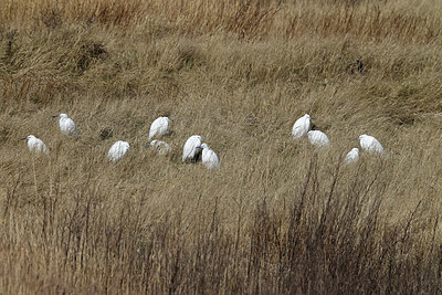 BUITEN BEELD Foto: 406893