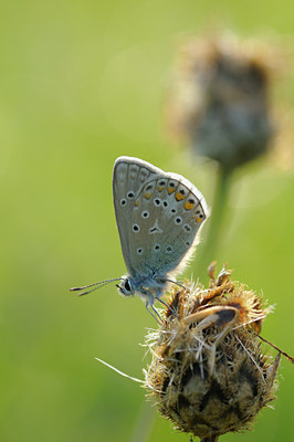 BUITEN BEELD Foto: 40334