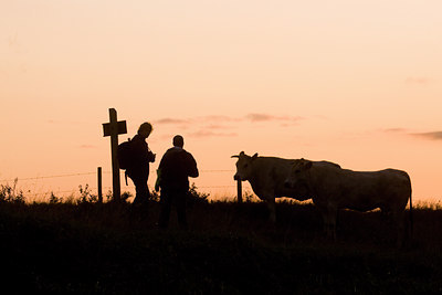 BUITEN BEELD Foto: 40537