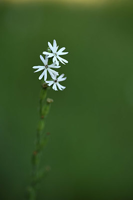 BUITEN BEELD Foto: 413264