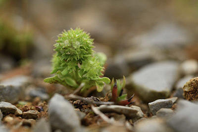 BUITEN BEELD Foto: 413772