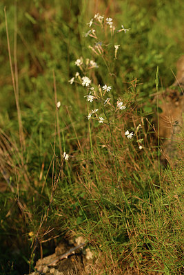 BUITEN BEELD Foto: 414336