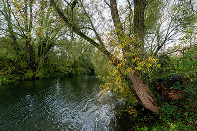 BUITEN BEELD Foto: 419166