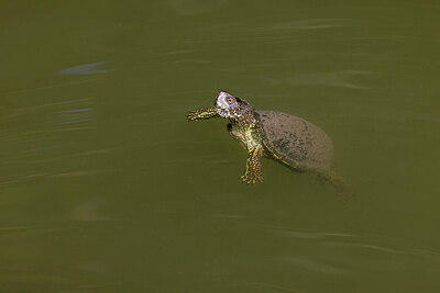 BUITEN BEELD Foto: 422905