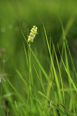 BUITEN BEELD Foto: 424843