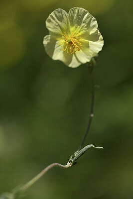 BUITEN BEELD Foto: 425237