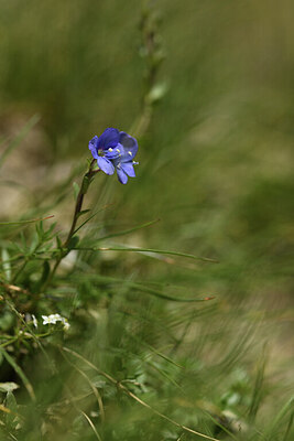 BUITEN BEELD Foto: 425413