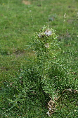 BUITEN BEELD Foto: 426134