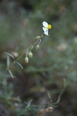 BUITEN BEELD Foto: 426401