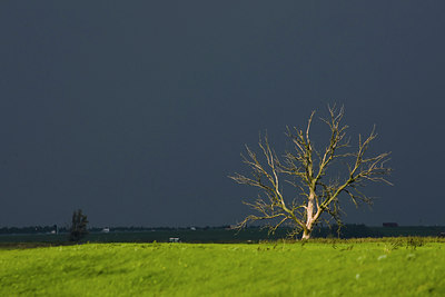 BUITEN BEELD Foto: 42627