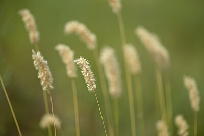 BUITEN BEELD Foto: 436638