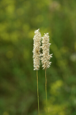 BUITEN BEELD Foto: 436753