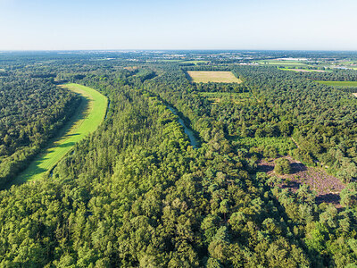 BUITEN BEELD Foto: 437877