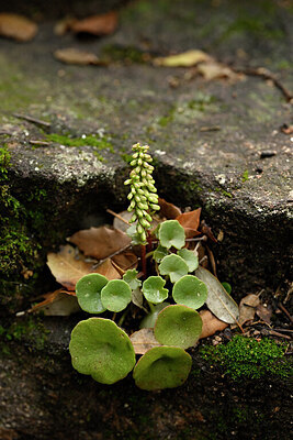 BUITEN BEELD Foto: 440674