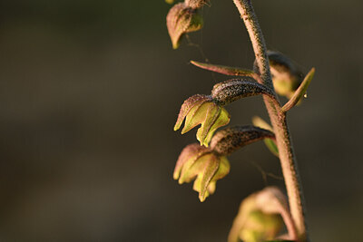 BUITEN BEELD Foto: 441553