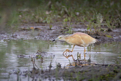 BUITEN BEELD Foto: 443172