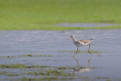 BUITEN BEELD Foto: 443188