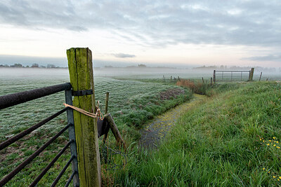 BUITEN BEELD Foto: 443444