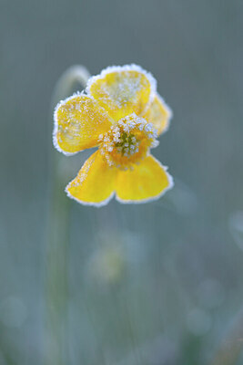 BUITEN BEELD Foto: 443563