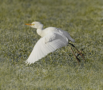 BUITEN BEELD Foto: 451872