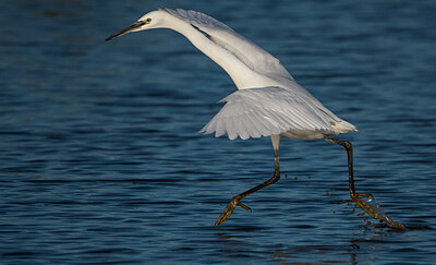 BUITEN BEELD Foto: 452418
