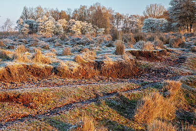 BUITEN BEELD Foto: 452588