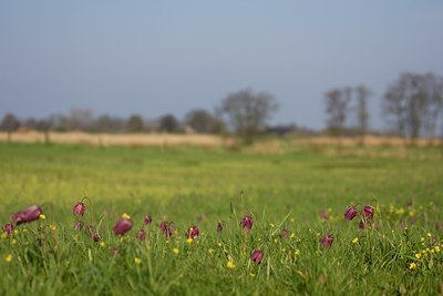 BUITEN BEELD Foto: 48858