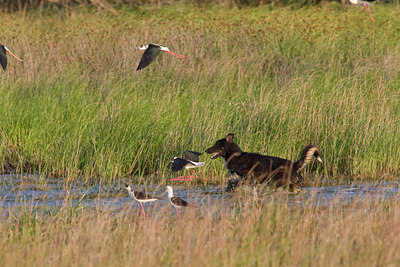 BUITEN BEELD Foto: 57847