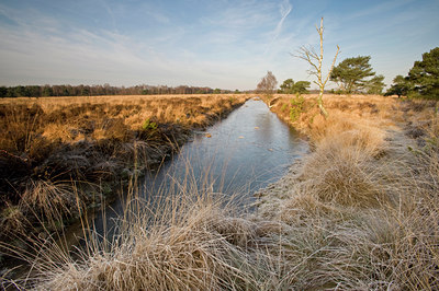 BUITEN BEELD Foto: 64782