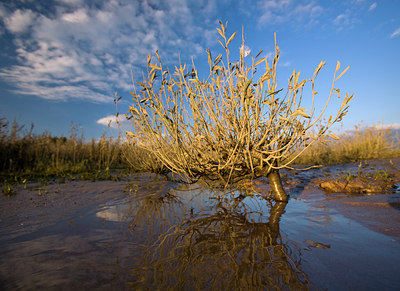 BUITEN BEELD Foto: 66736