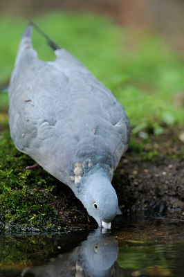 BUITEN BEELD Foto: 72816