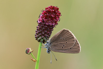 BUITEN BEELD Foto: 75430