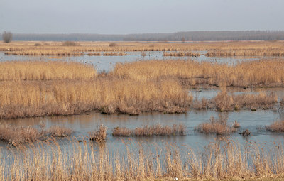 BUITEN BEELD Foto: 86942