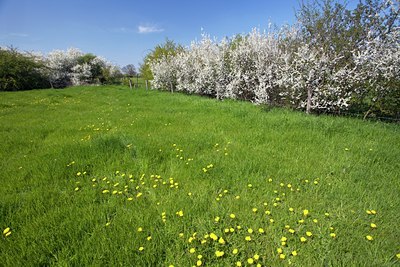 BUITEN BEELD Foto: 91606