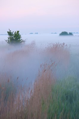 BUITEN BEELD Foto: 92386