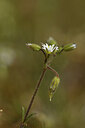 BUITEN BEELD Foto: 426844