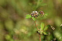 BUITEN BEELD Foto: 441933