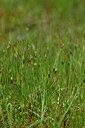 BUITEN BEELD Foto: 446223